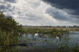 Game Informer Reveals Exclusive GTA 6 Details: Advanced Weather, Wildlife, and Florida Authenticity